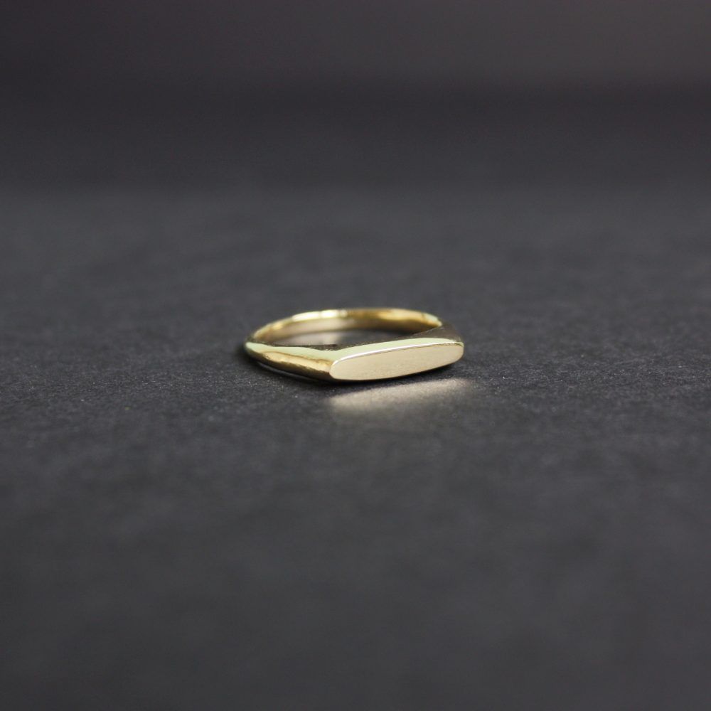 Terra signet ring